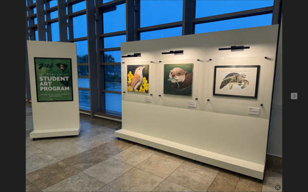The three students artwork is on display at the Myrtle Beach International Airport. From left to right: Carolina Wren with Yellow Jessamine by Miley Watts won first place, followed by Otterly by Rylee OLeary and Coastal Turtle by Arella Elmore. 